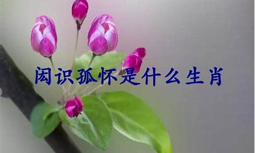 闳识孤怀表达什么感情-闳识孤怀,沅芷澧兰 韬光逐薮,含章未曜